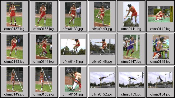 womens polevaulting photos