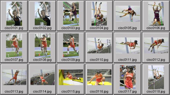 womens polevaulting photos
