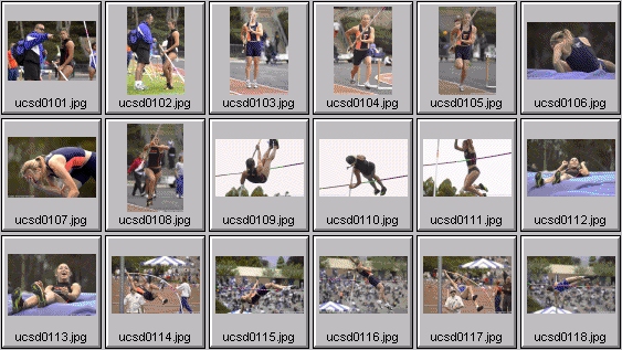 Women's Polevaulting Photos