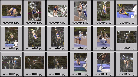 Women's Polevaulting Photos