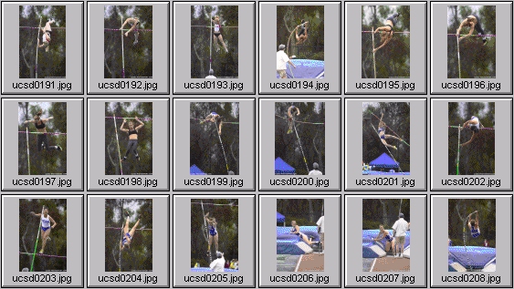 Women's Polevaulting Photos