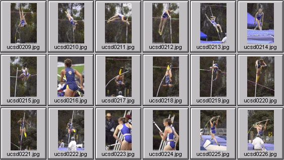 Women's Polevaulting Photos