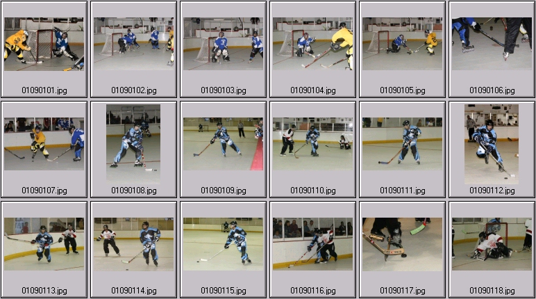 roller hockey