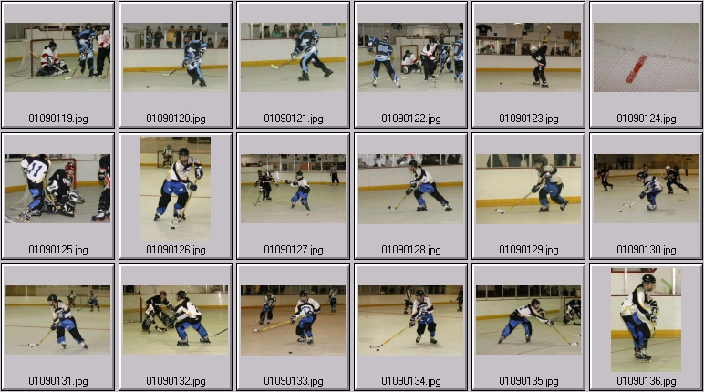 roller hockey