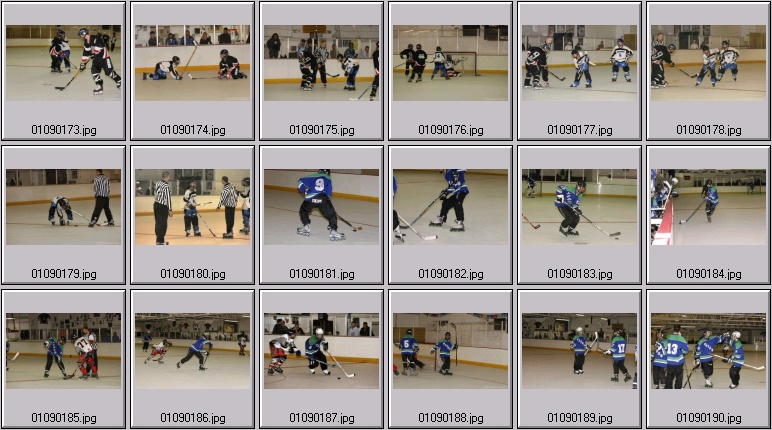 roller hockey