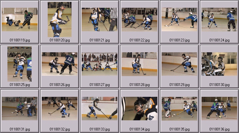 kelly nash hockey