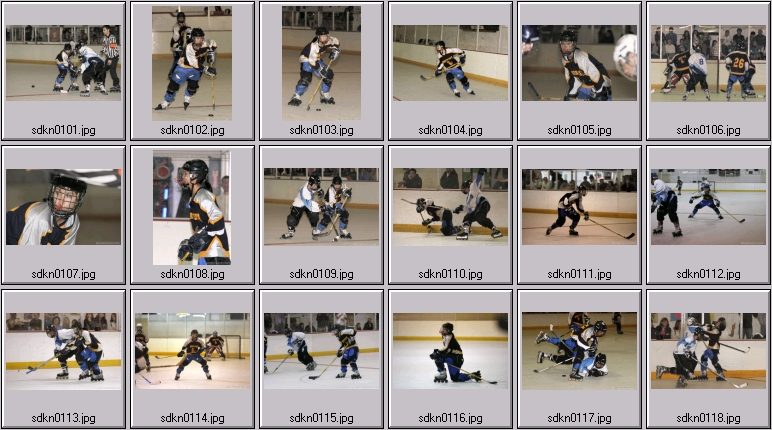 kelly nash hockey