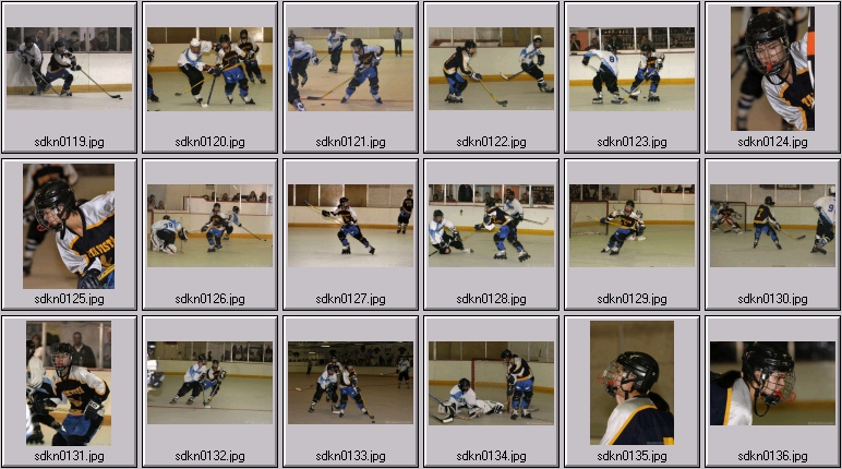 kelly nash hockey