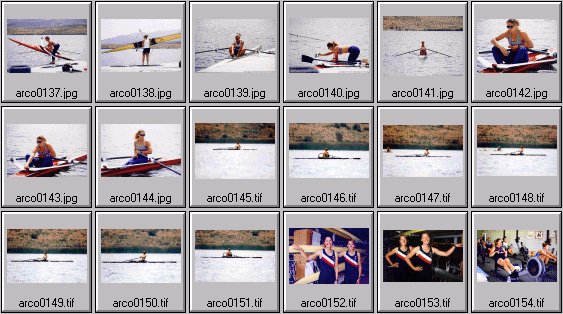 womens rowing photos