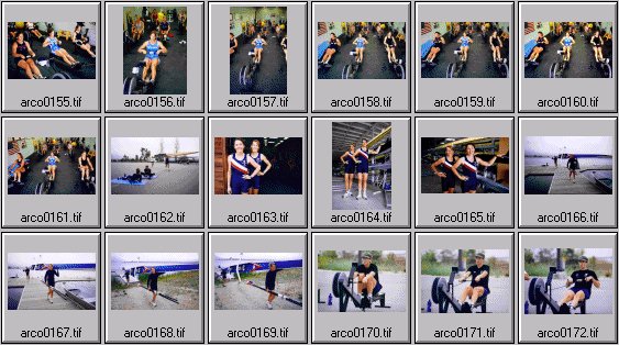 womens rowing photos
