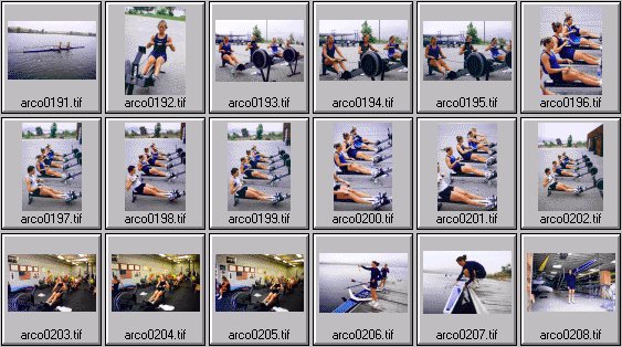 womens rowing photos