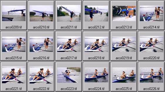 womens rowing photos
