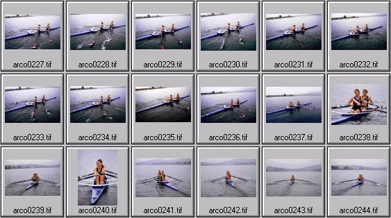 womens rowing photos