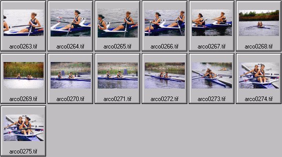 womens rowing photos