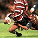 rugby photos
