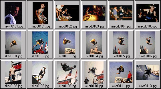 skateboarding photos