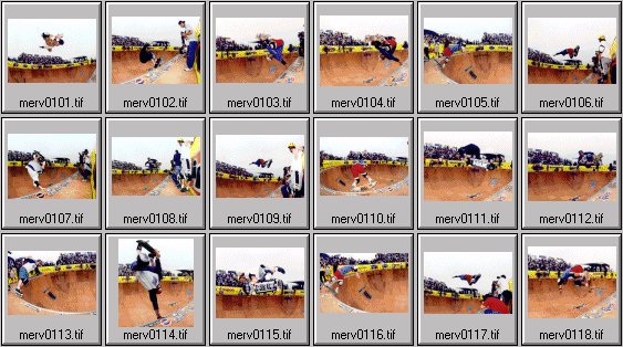 skateboarding pictures