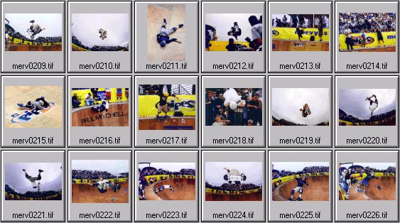 skateboarding pictures