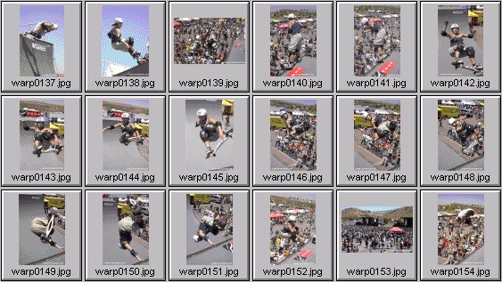 skateboarding pictures