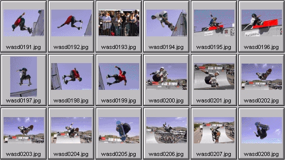 skateboarding pictures