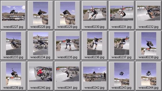 skateboarding pictures