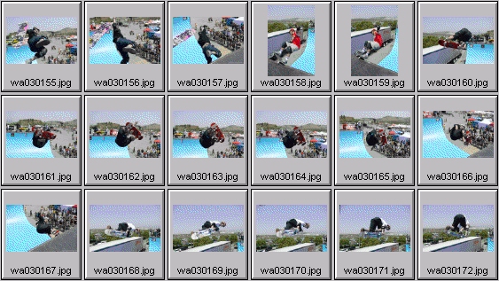 skateboarding pictures