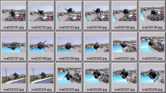 skateboarding pictures