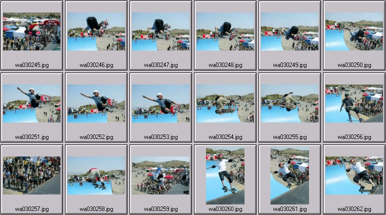 professional skateboarding