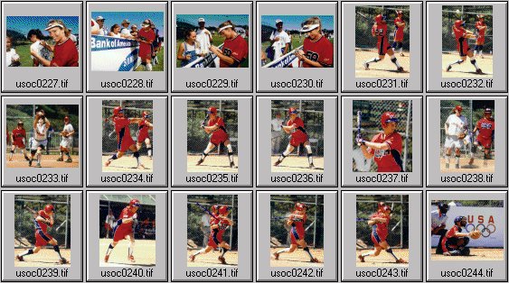 womens softball photos -- us olympic cup 99