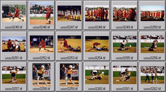 womens softball photos -- us olympic cup 99