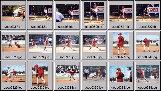 womens softball photos -- us olympic cup 99