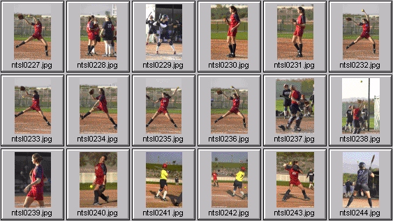 softball photos