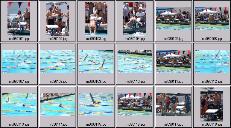 men's swimming