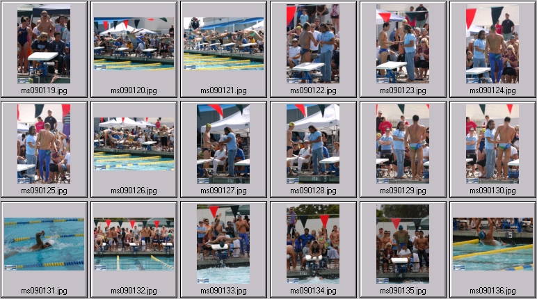 men's swimming