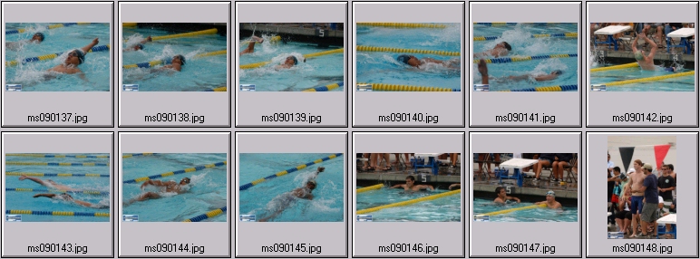 men's swimming
