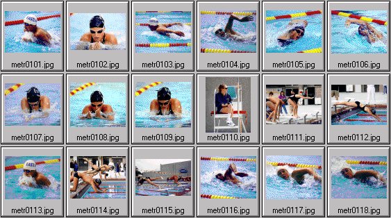 Women's swimming photos