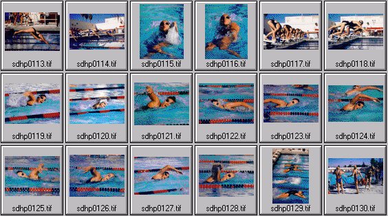 Women's swimming photos