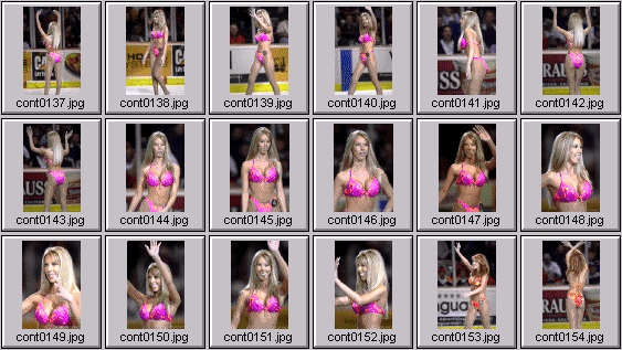 swimsuit edition photos- bikini contest