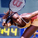 venus williams photos