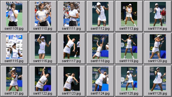 corina morariu amanda coetzer