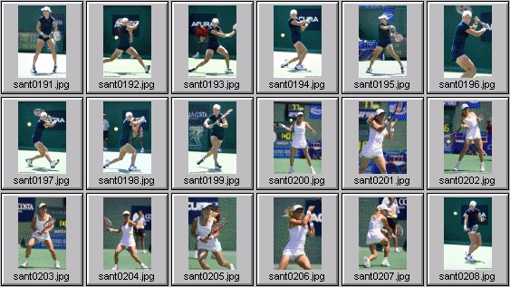 sarah taylor amanda coetzer