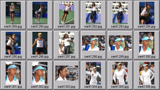 pierce venus williams stevenson kournikova