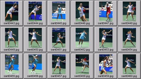 meghann shaughnessy chandra rubin kimberly po corina morariu