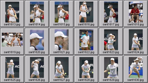 daniela hantuchova ai sugiyama kim clijsters elini danilidu