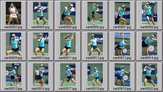 mary pierce elena dementieva