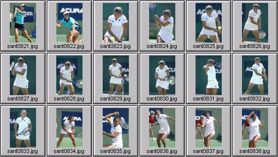 mary pierce elena dementieva