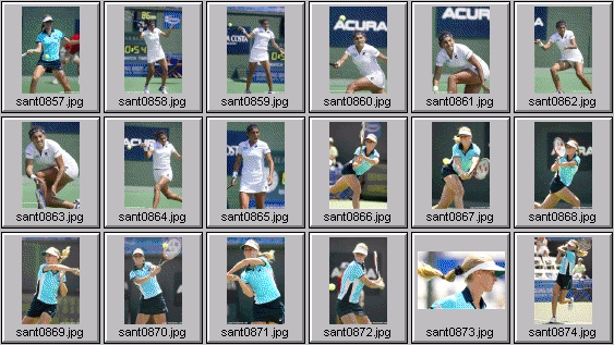 elena dementieva paola suarez