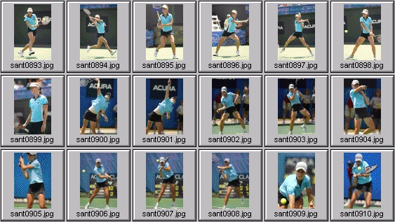 elena dementieva cara black