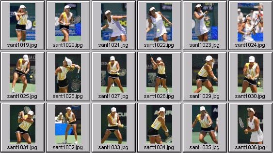 jennifer capriati ashley harkleroad