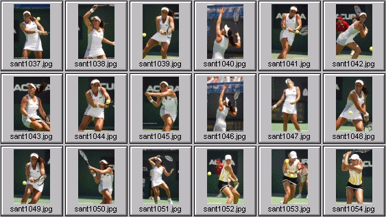 jennifer capriati ashley harkleroad